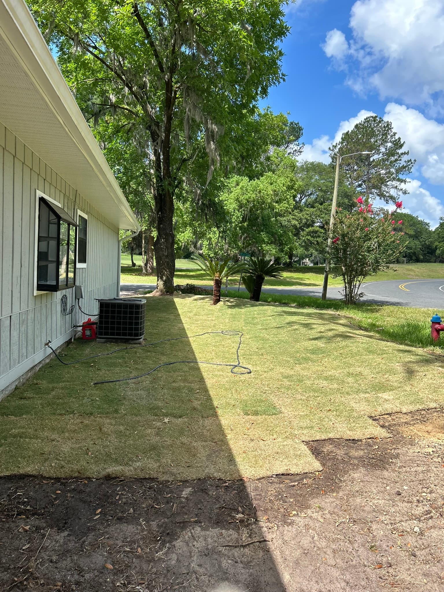 Patriot Trees job photo 3