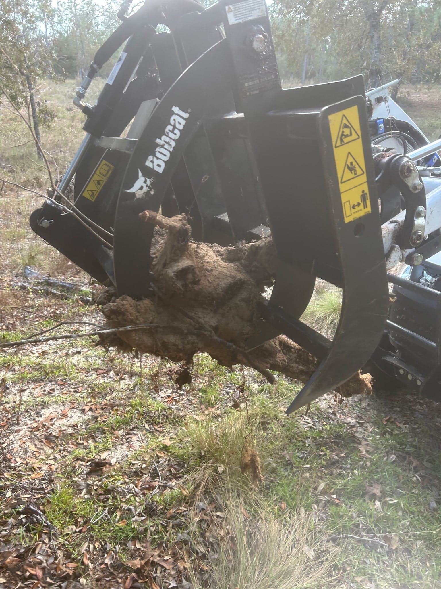 Patriot Trees job photo 22